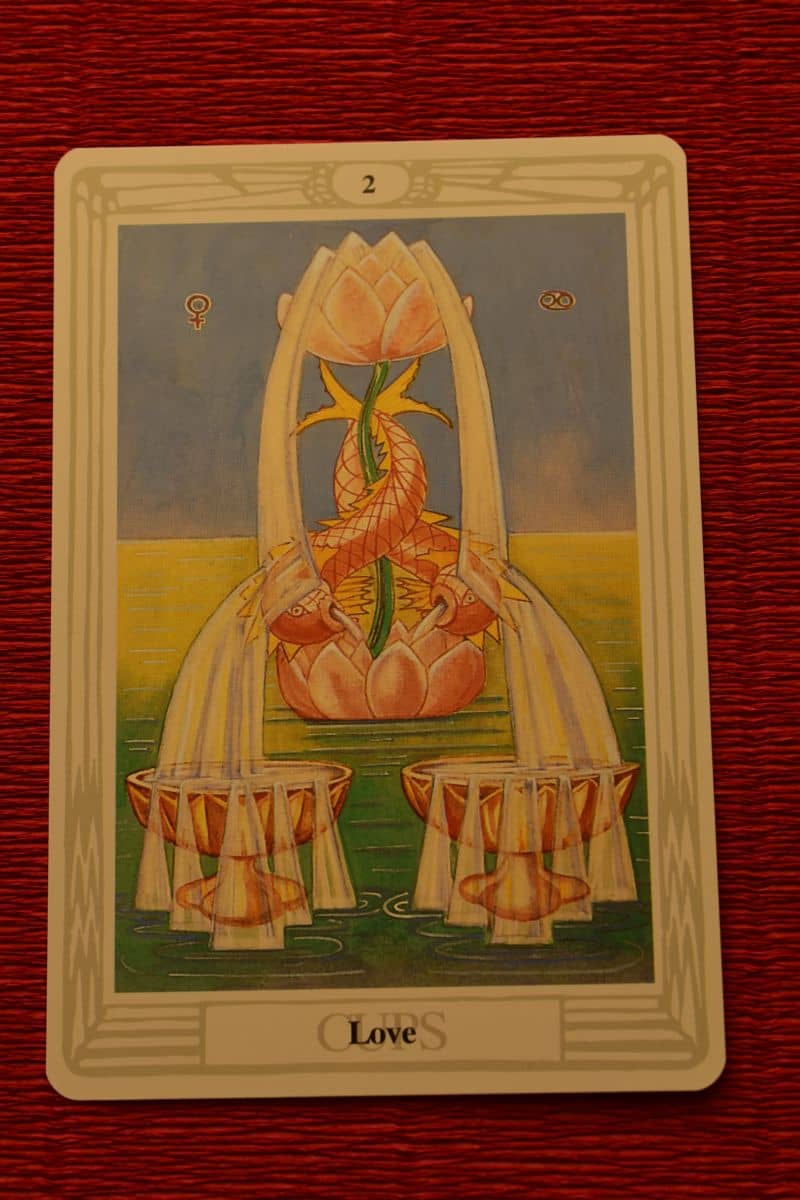 Karta 2 kielichów zamiary